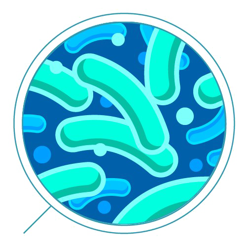 Bacteria Free Photo PNG Transparent PNG Image