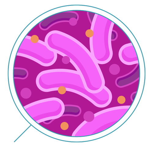 Bacteria Free HQ Image Transparent PNG Image