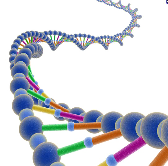 Dna Free Clipart HQ Transparent PNG Image