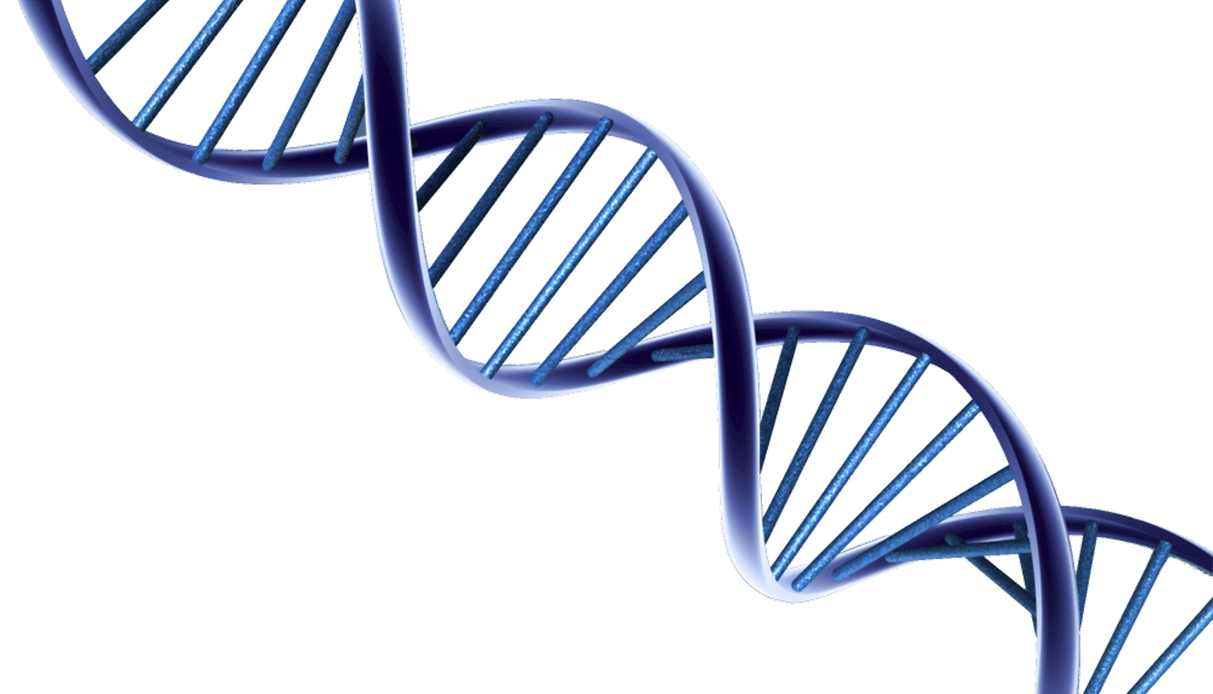 Dna HQ Image Free PNG Transparent PNG Image