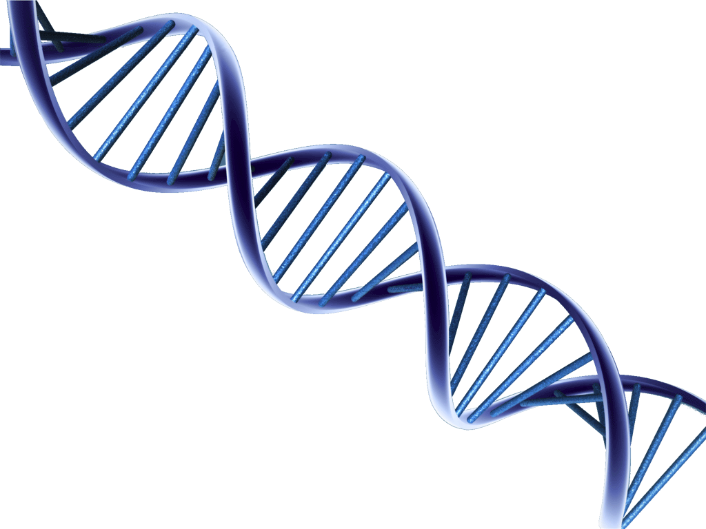 Dna Picture HQ Image Free PNG Transparent PNG Image