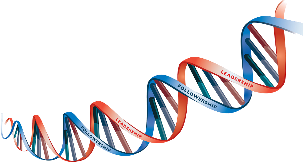 Dna Picture Free Clipart HD Transparent PNG Image