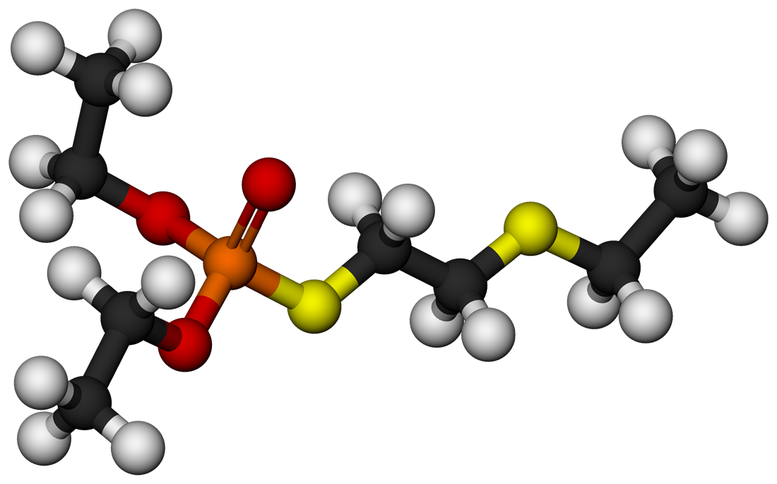 Molecule Picture Free Transparent Image HQ Transparent PNG Image