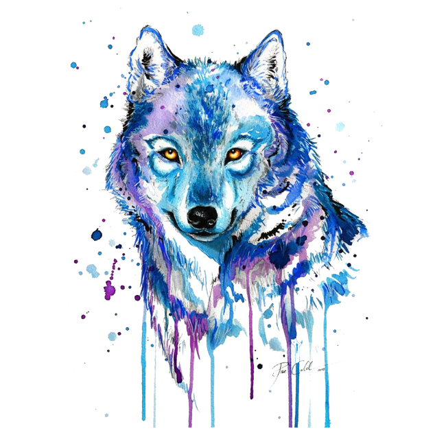 Gray Tattoo Abstract Watercolor Wolf Painting Drawing Transparent PNG Image