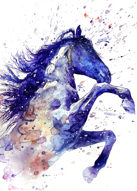 Tattoo Horse Ritmeester Watercolor Painting Drawing Transparent PNG Image