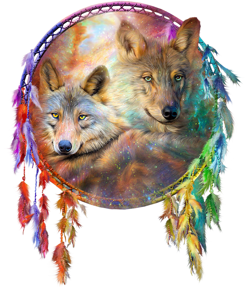 Gray Art Dreamcatcher Craft Wolf Painting Transparent PNG Image