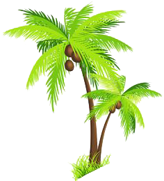 Palm Tree Picture Transparent PNG Image