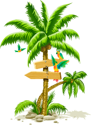 Tropical Palm Tree Png Transparent PNG Image