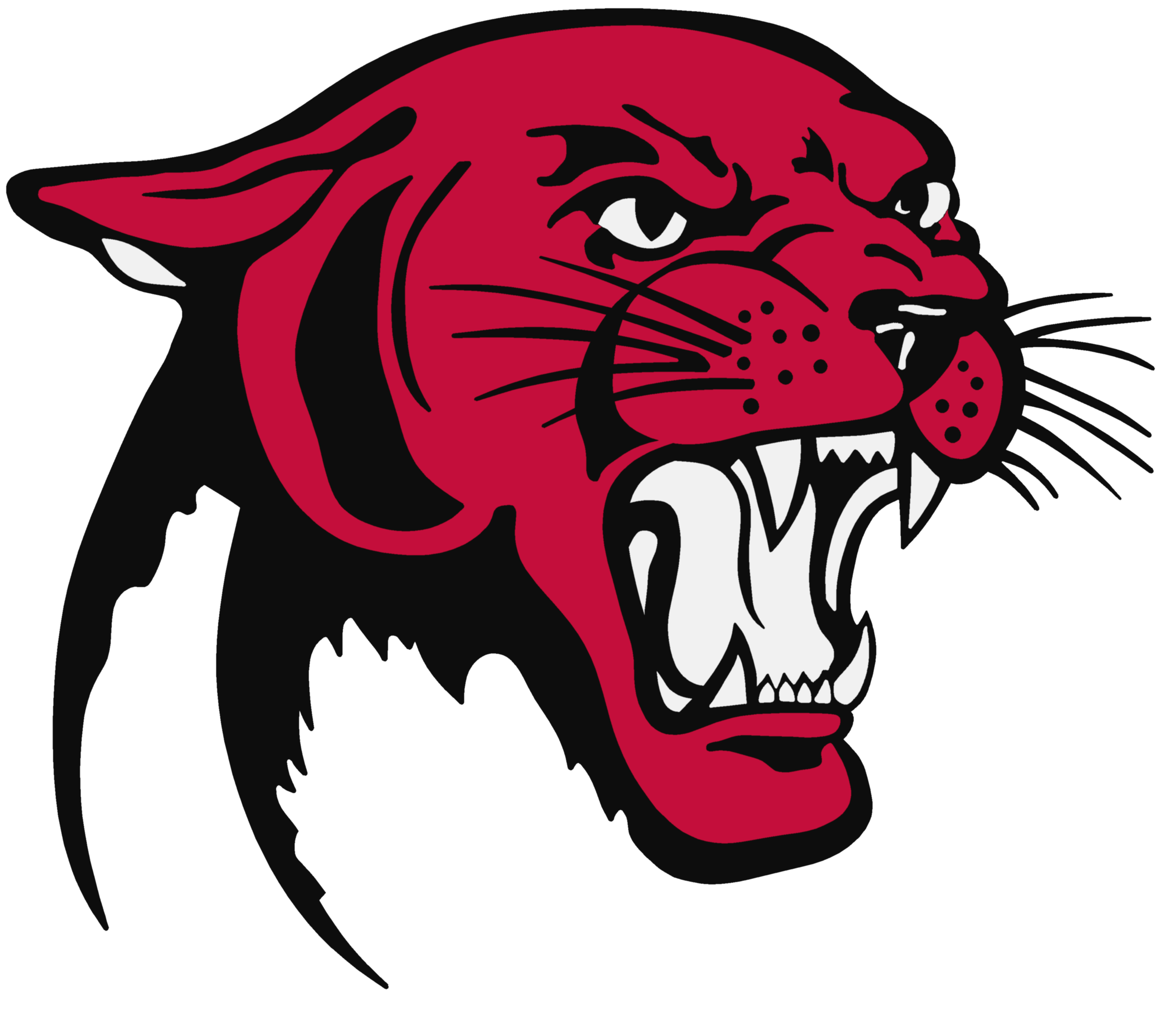 Panther Png Picture Transparent PNG Image