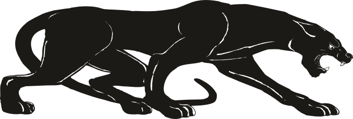 Panther Png Pic Transparent PNG Image