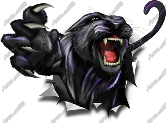 Panther Png Clipart Transparent PNG Image