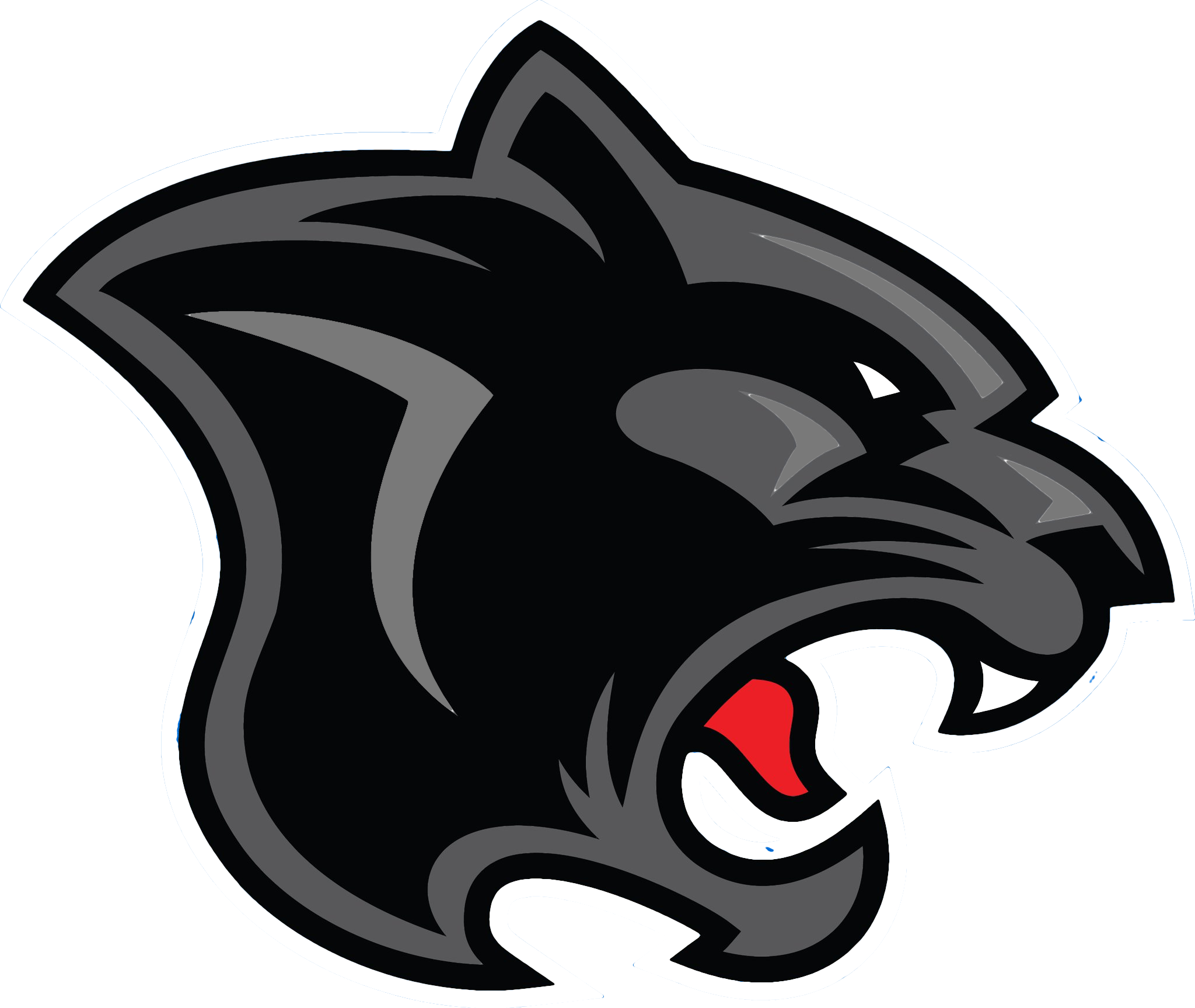 Panther Png File Transparent PNG Image