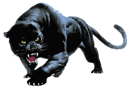 Panther Png Transparent PNG Image