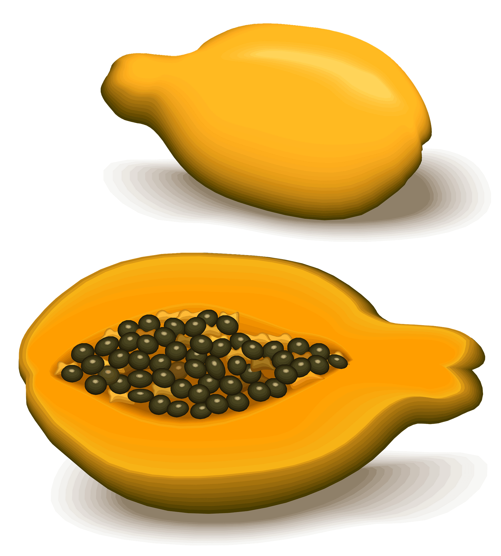 Fresh Papaya Half PNG Download Free Transparent PNG Image