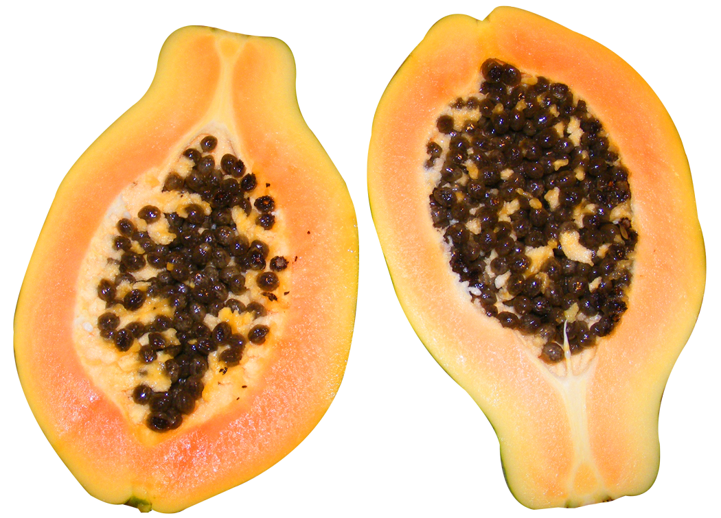 Papaya Half Download Free Image Transparent PNG Image