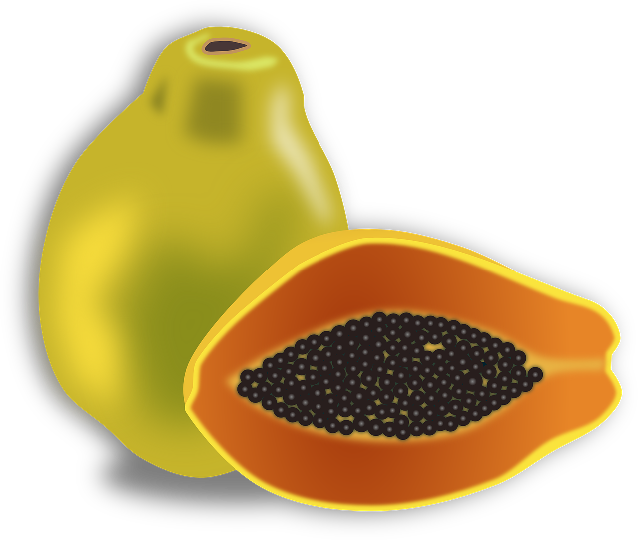 Papaya Organic Half PNG Download Free Transparent PNG Image