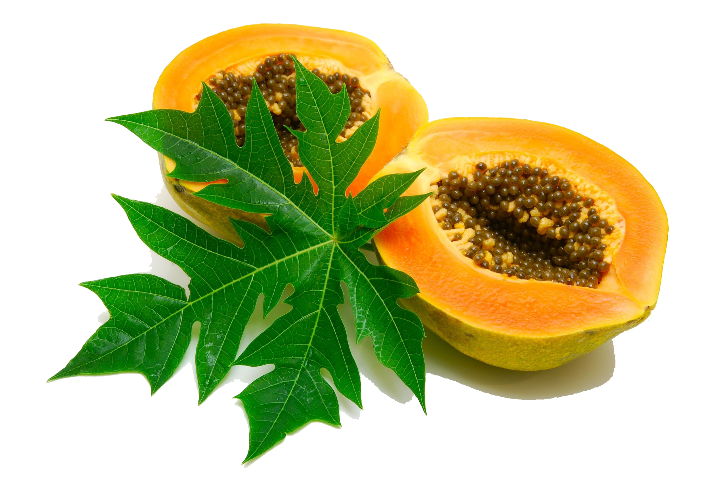 Papaya Image Transparent PNG Image