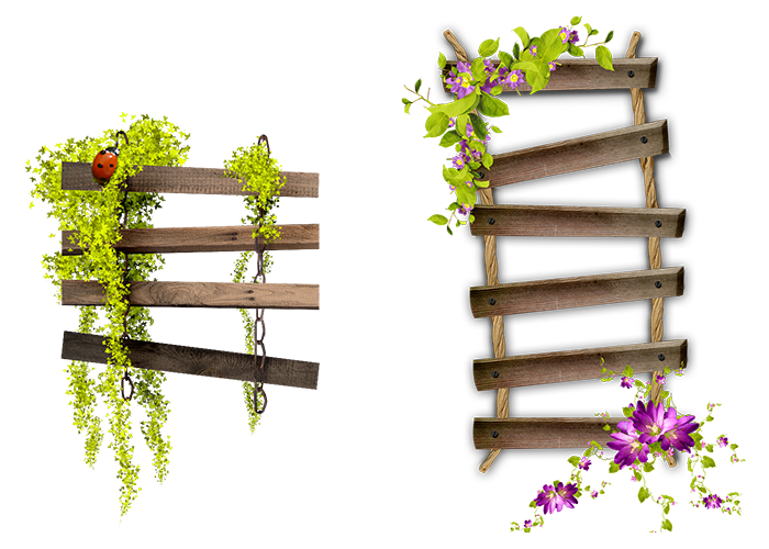 Flower Garden Hour Spooky Frame Bench Ladder Transparent PNG Image