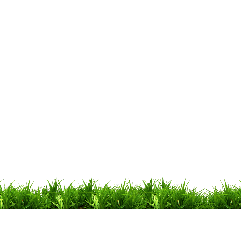 Green White Grass Park Bench Free Frame Transparent PNG Image