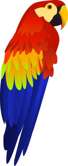 Colorful Parrot Png Images Download Transparent PNG Image