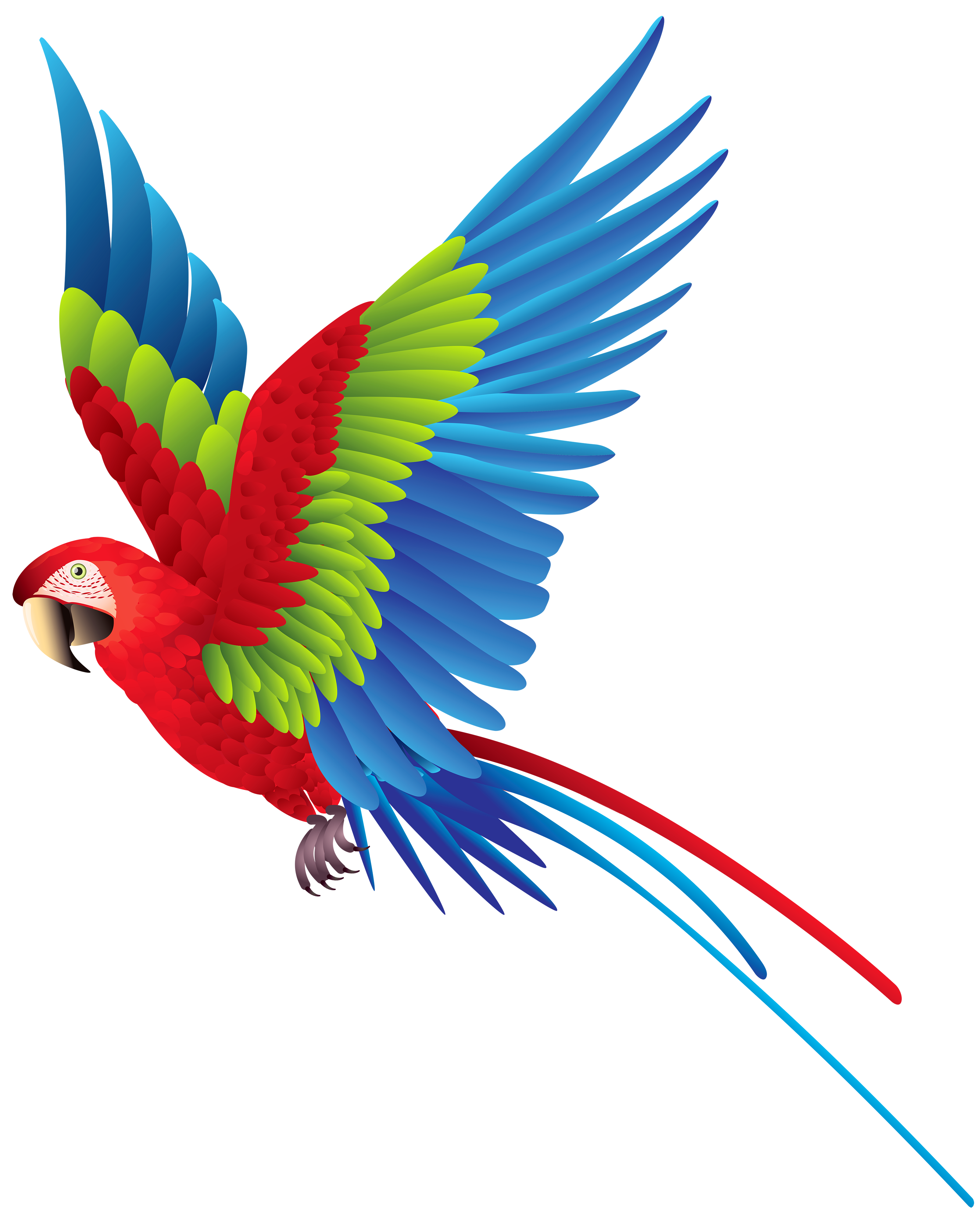 Parrot Png Image Transparent PNG Image