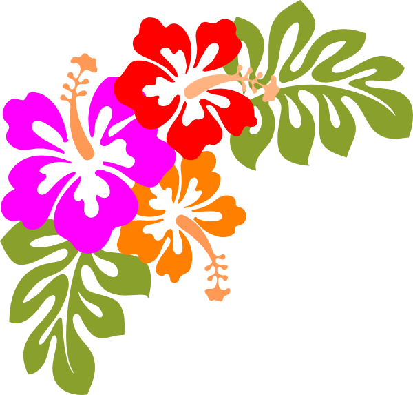 Photos Flower Aloha Hawaiian Luau Transparent PNG Image