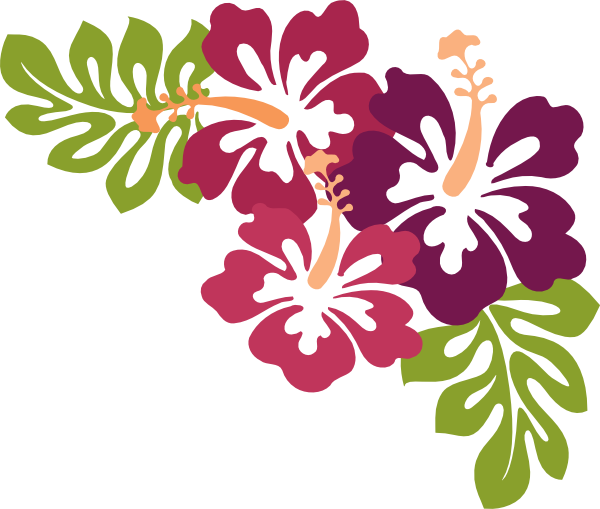 Images Hawaiian Luau HQ Image Free Transparent PNG Image