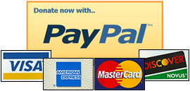 Paypal Donate Button Free Png Image Transparent PNG Image