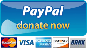 Paypal Donate Button Png Picture Transparent PNG Image