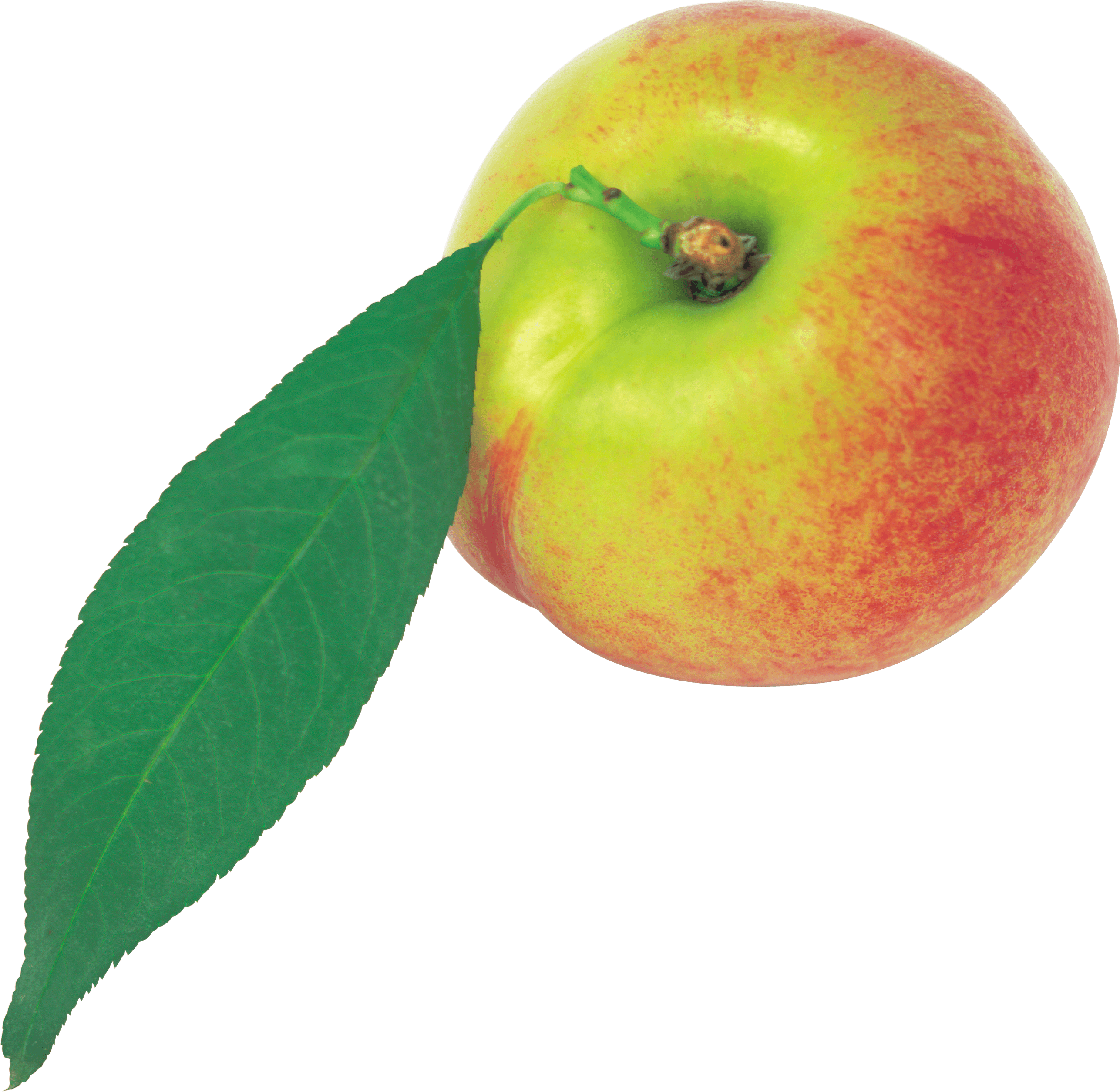 Peach Png Image Transparent PNG Image