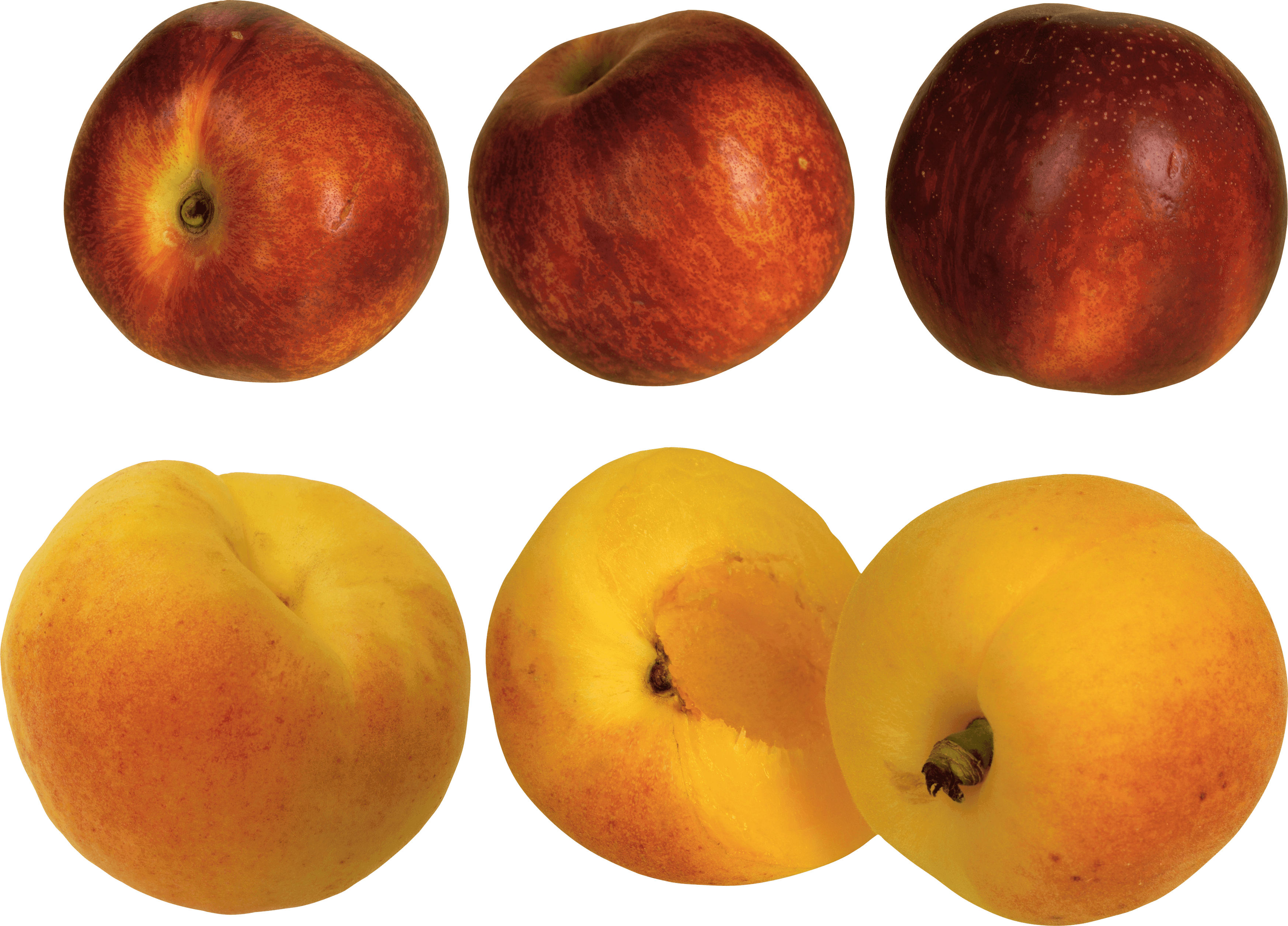 Peach Png Image Transparent PNG Image