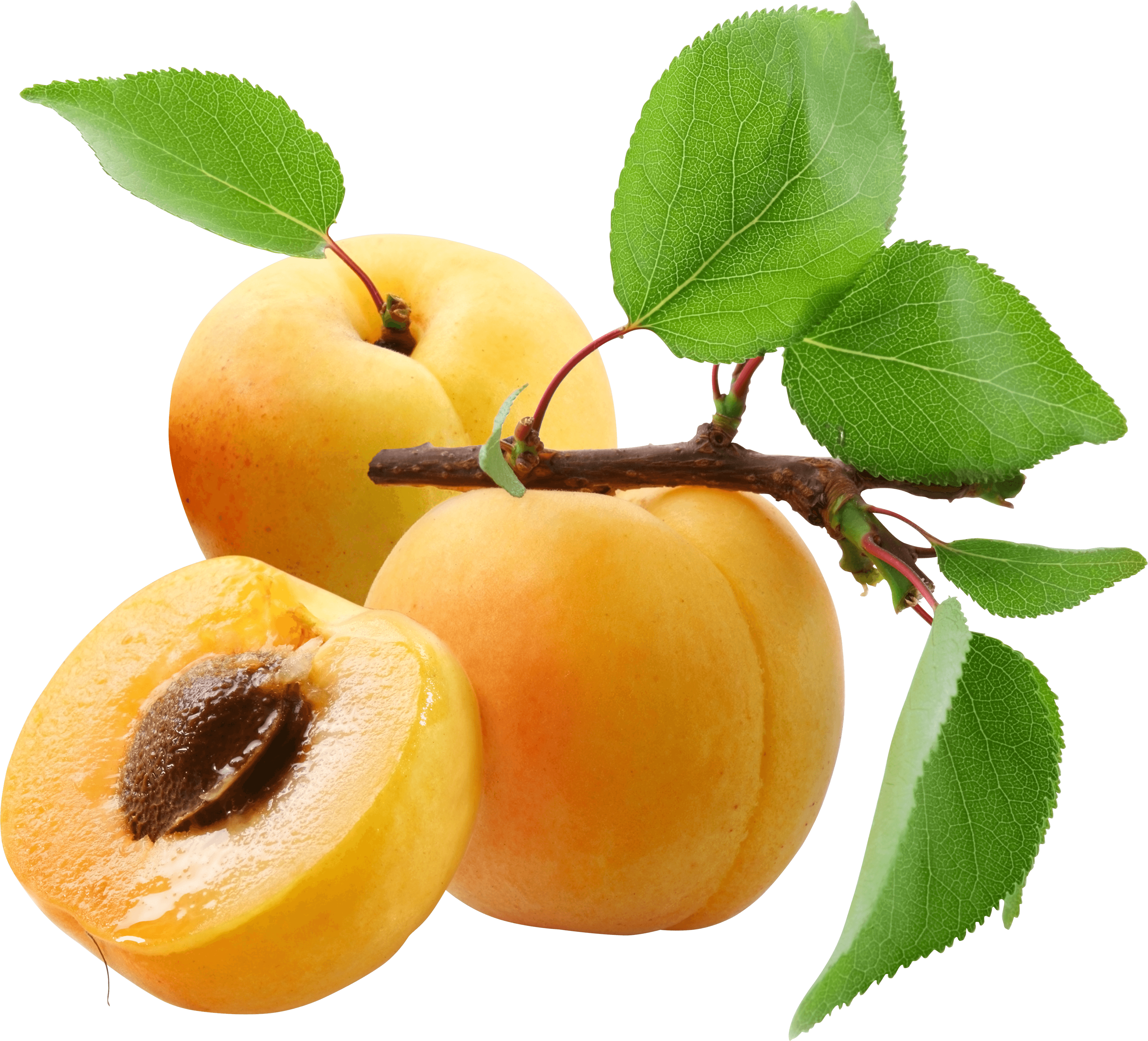 Peach Png Image Transparent PNG Image