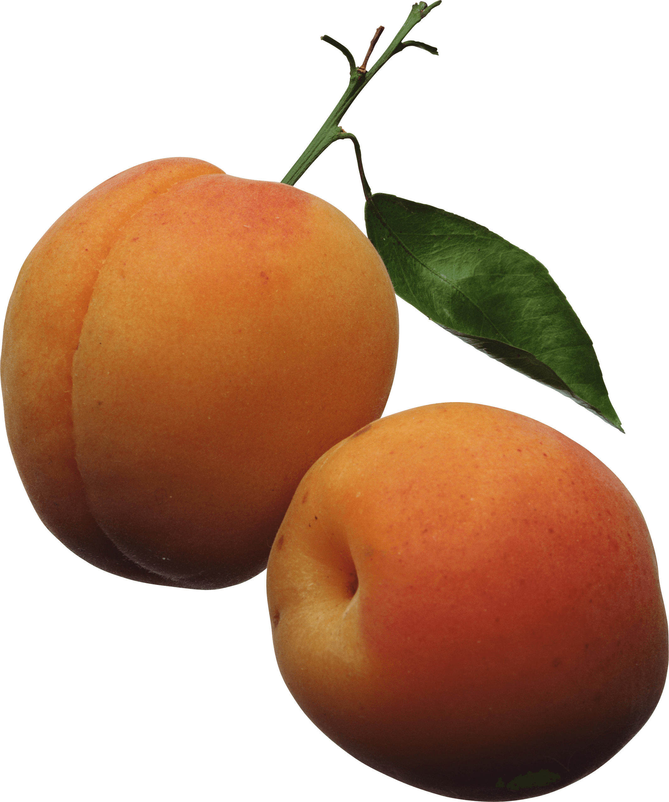 Peach Png Image Transparent PNG Image