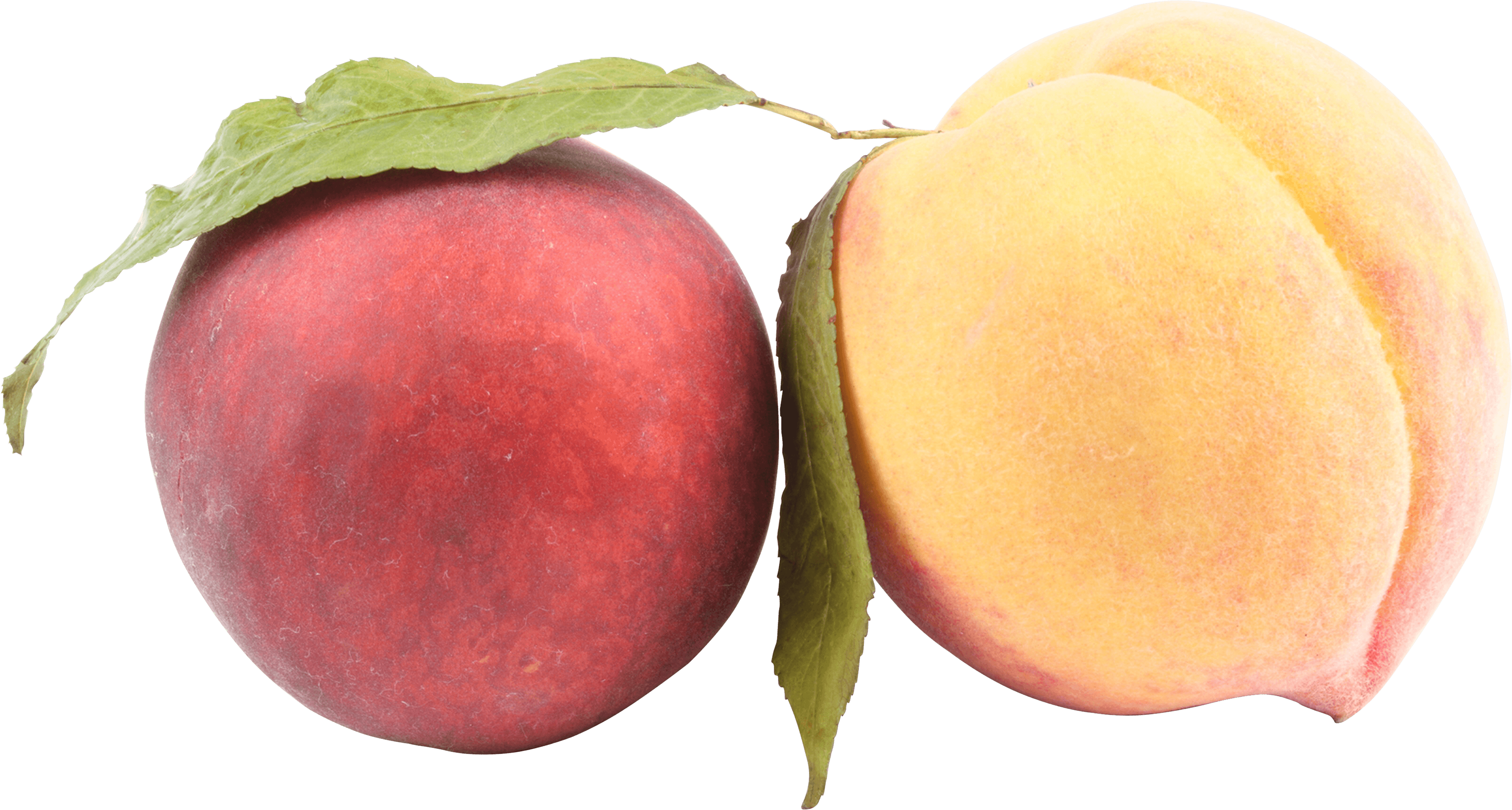 Peach Png Image Transparent PNG Image