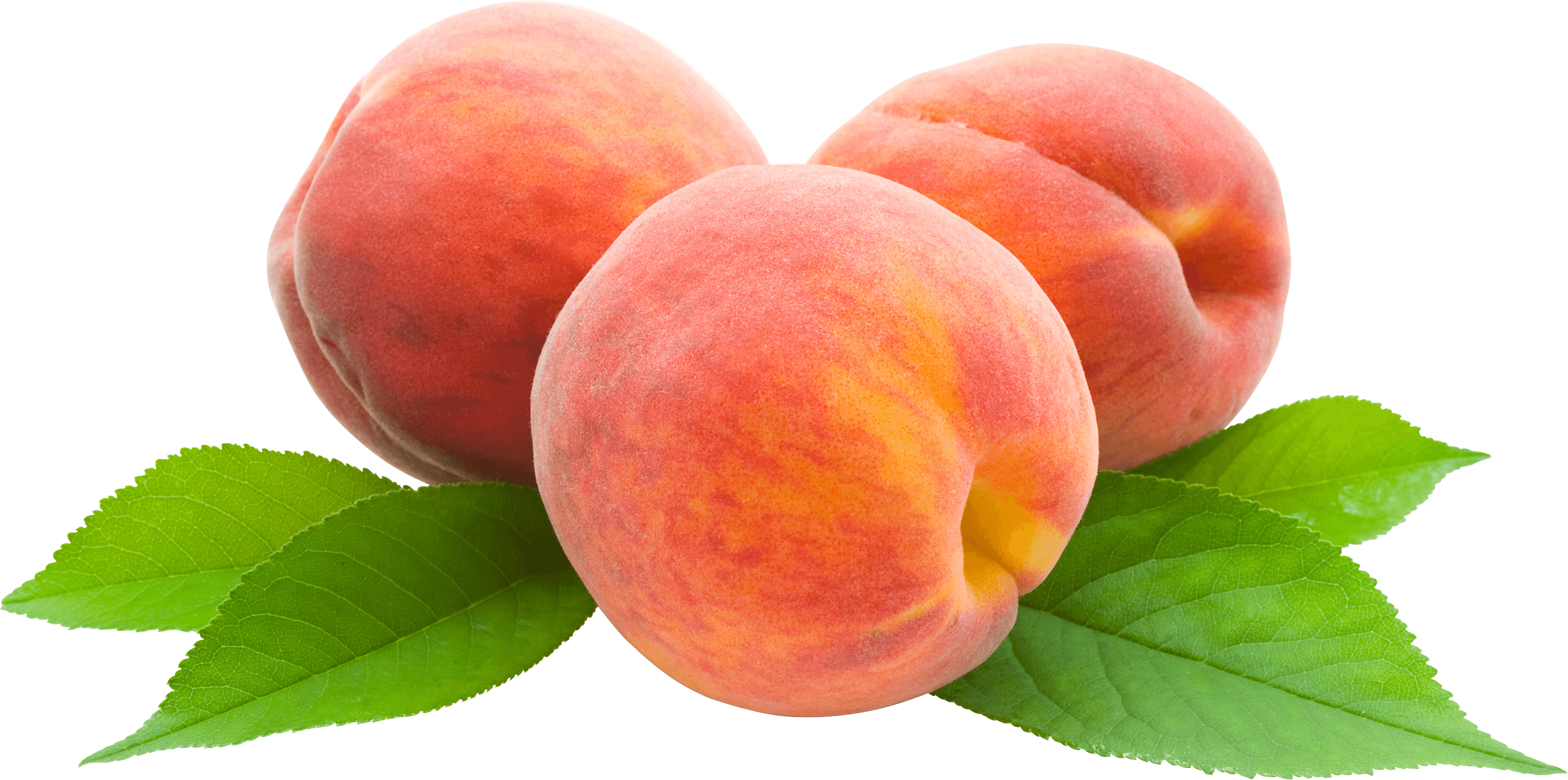 Peach Png Image Transparent PNG Image