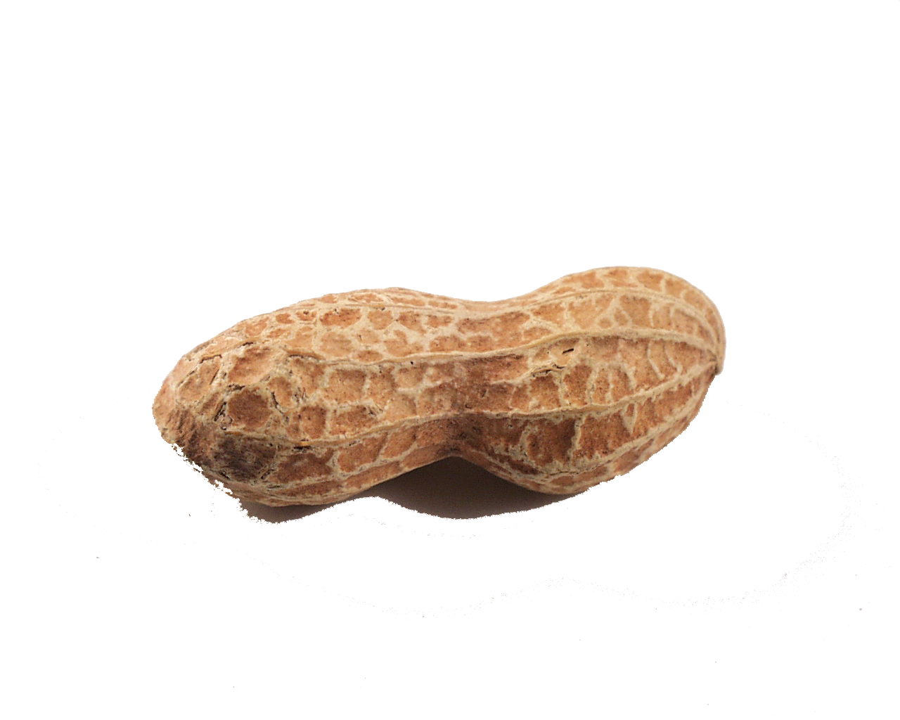 Peanut Png Clipart Transparent PNG Image