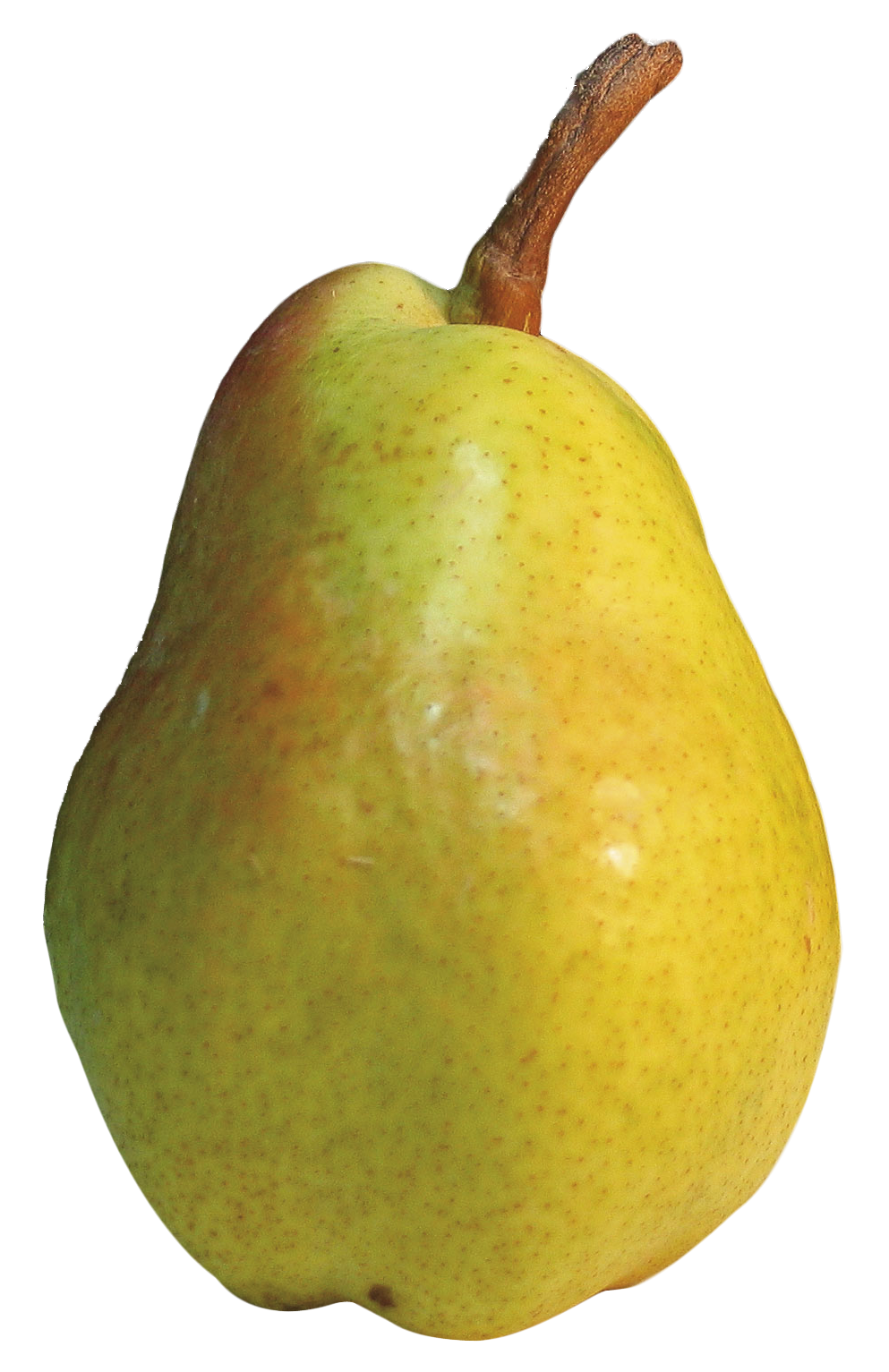 Pic Pear Asian Free HD Image Transparent PNG Image