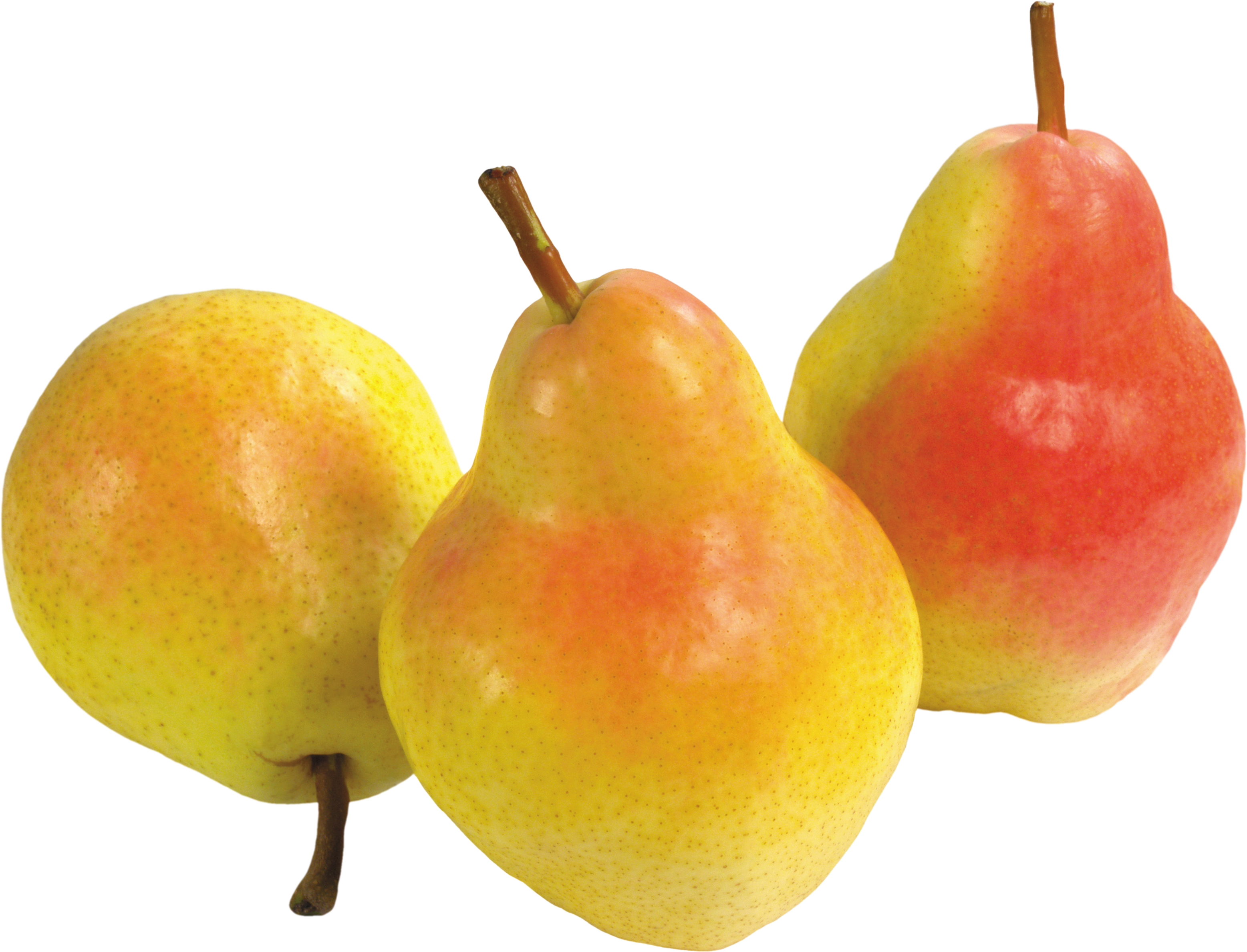 Pear Asian Free Transparent Image HQ Transparent PNG Image