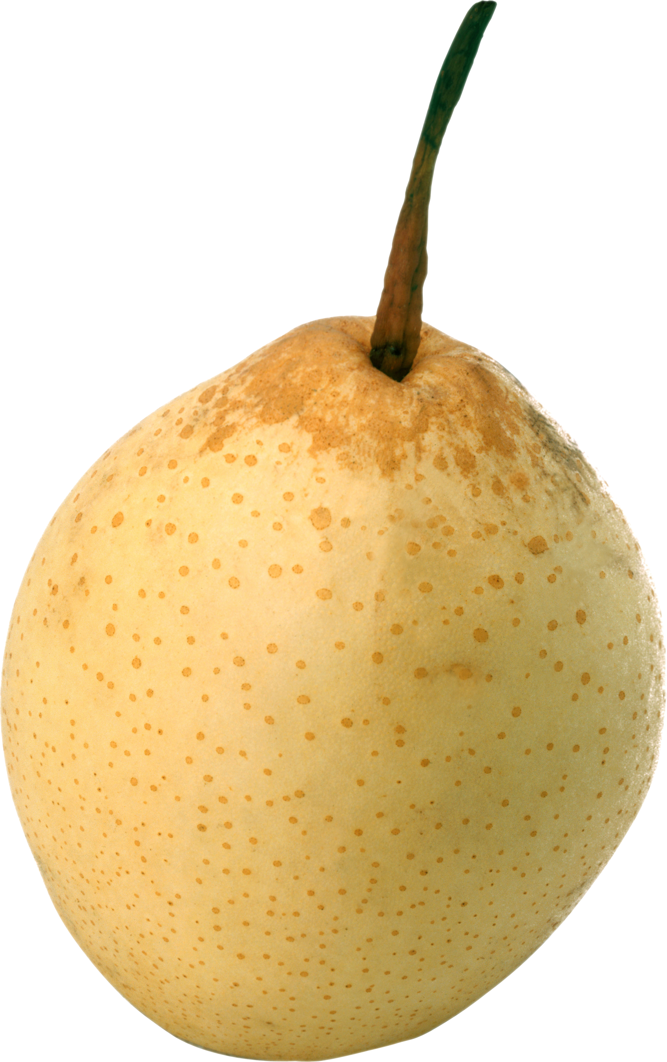 Pear Asian PNG File HD Transparent PNG Image