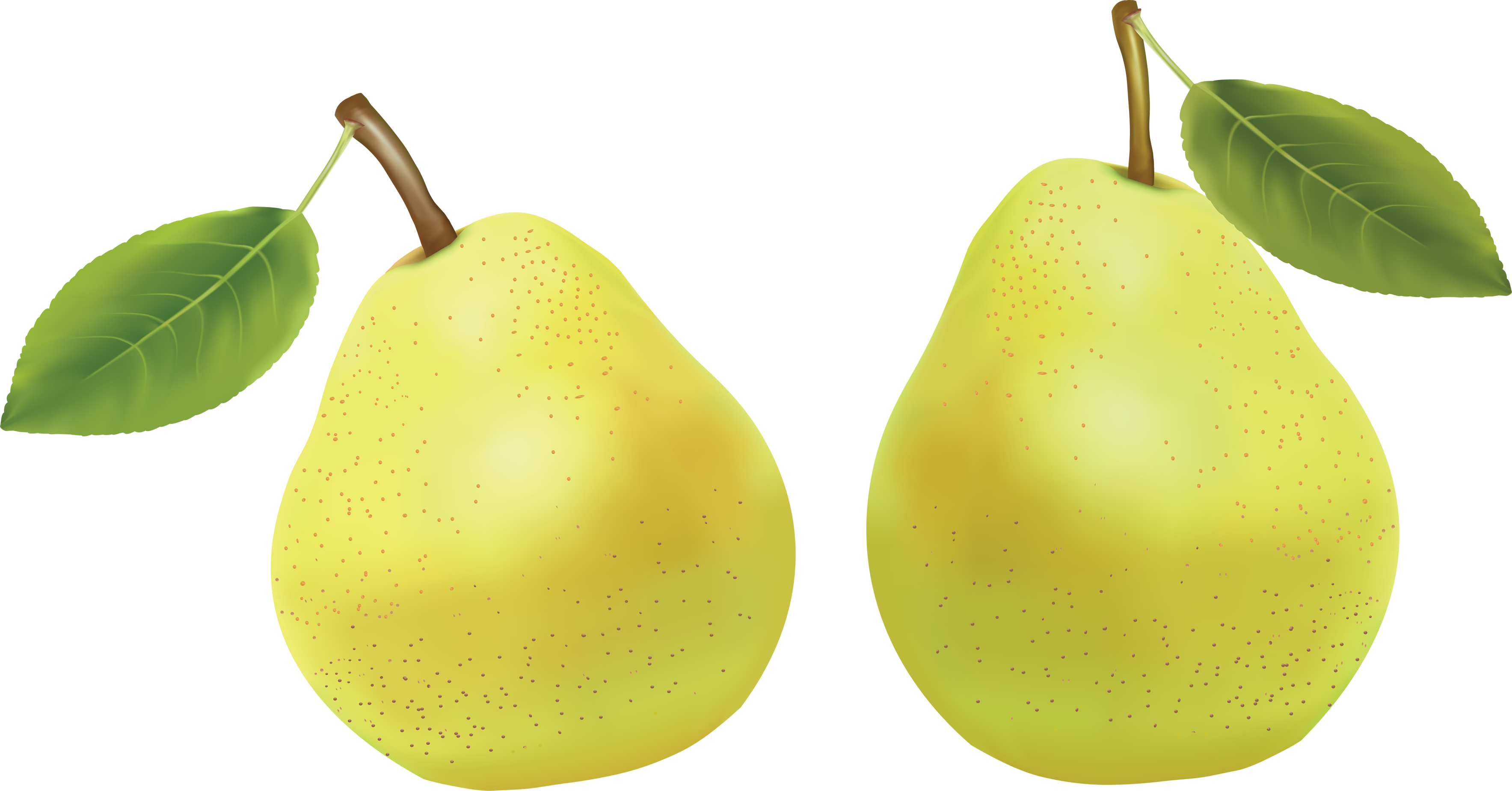 Pear Asian Free PNG HQ Transparent PNG Image