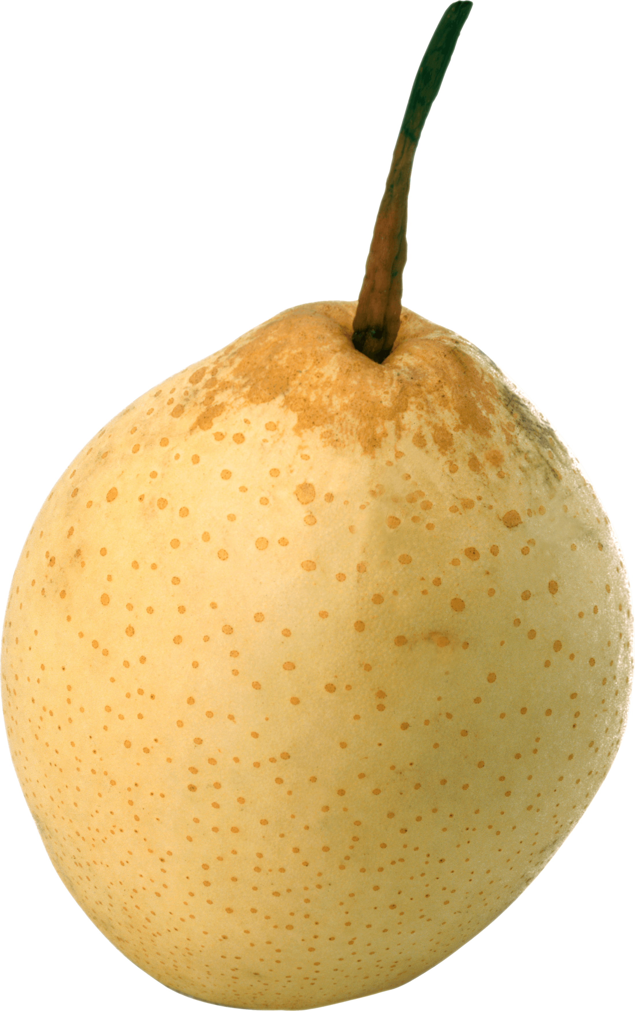 Ripe Pear Png Image Transparent PNG Image