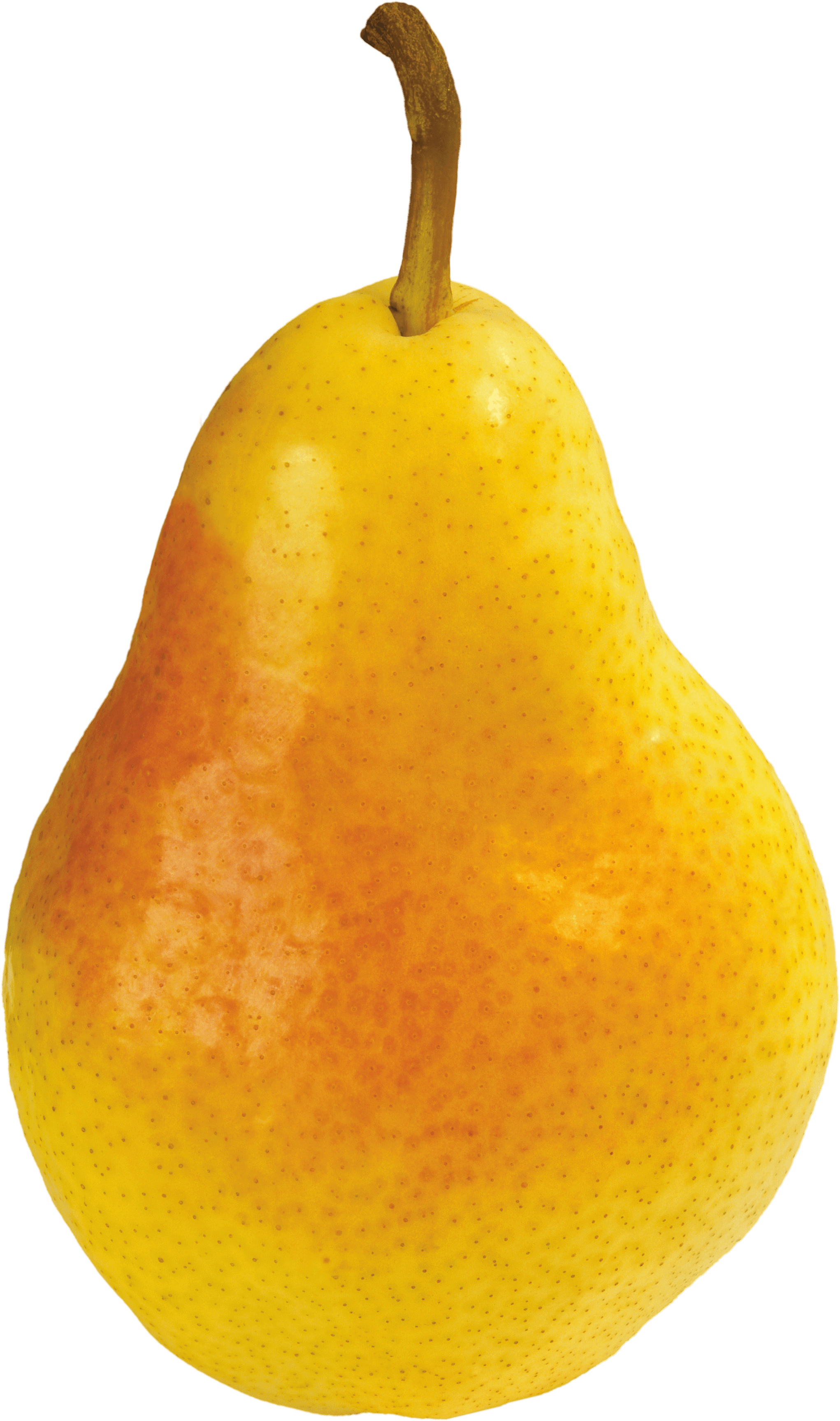 Pear Png Image Transparent PNG Image