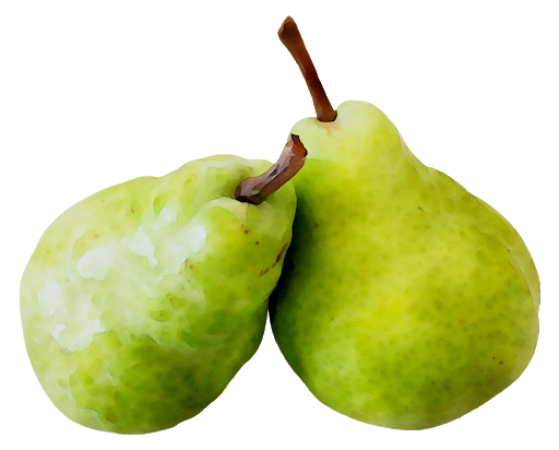 Fresh Green Pears Free PNG HQ Transparent PNG Image