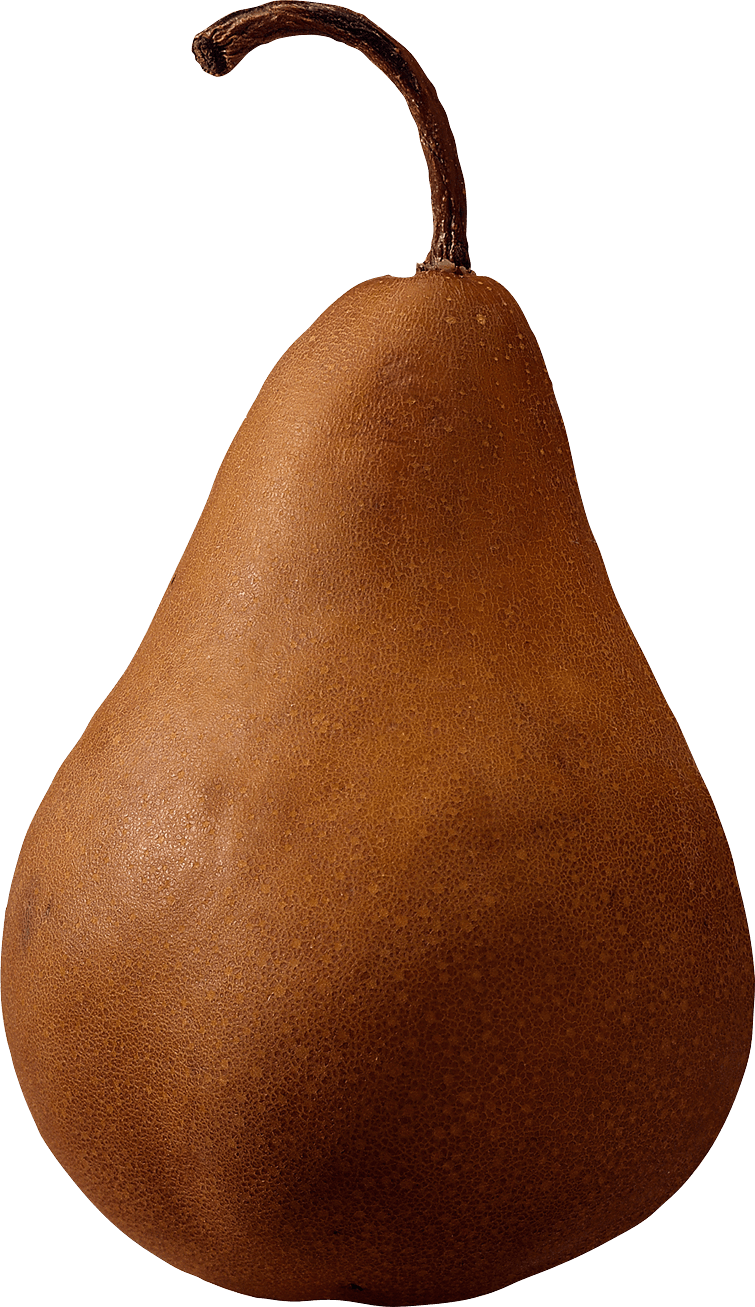 Brown Pear Png Image Transparent PNG Image