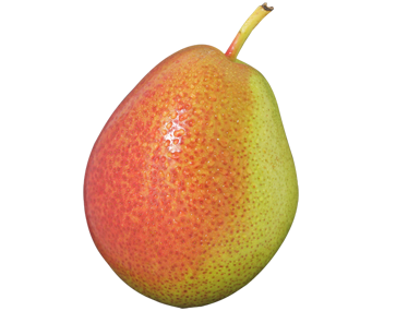 Corella Pear Transparent PNG Image