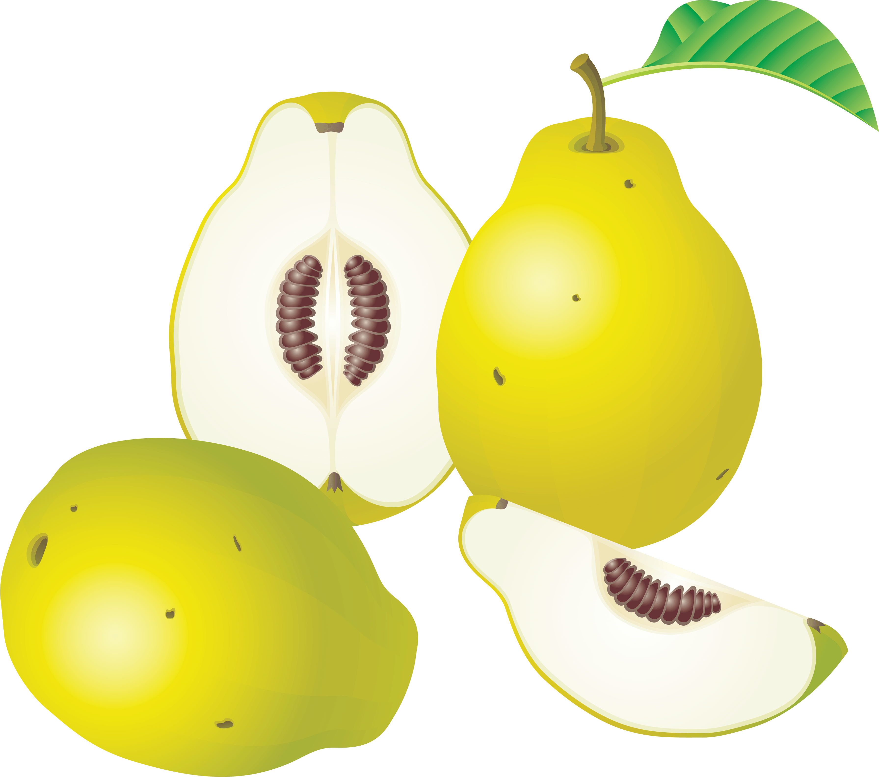 Pear Png Image Transparent PNG Image