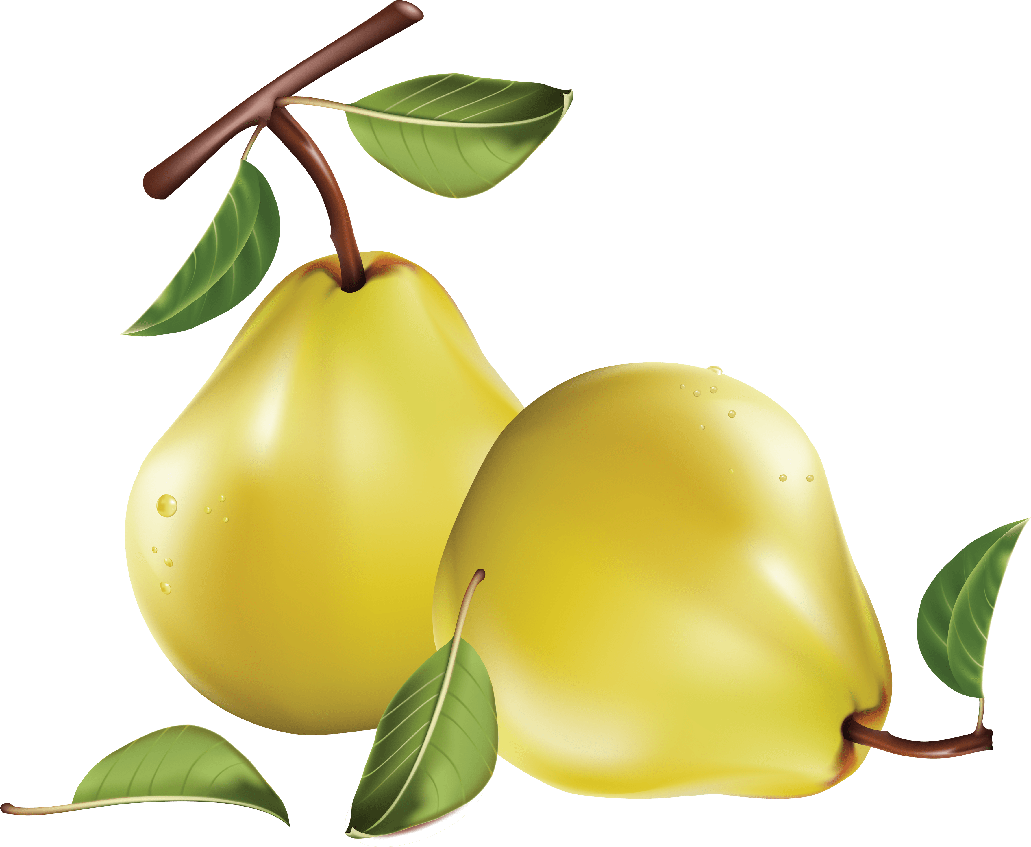 Pear Png Image Transparent PNG Image