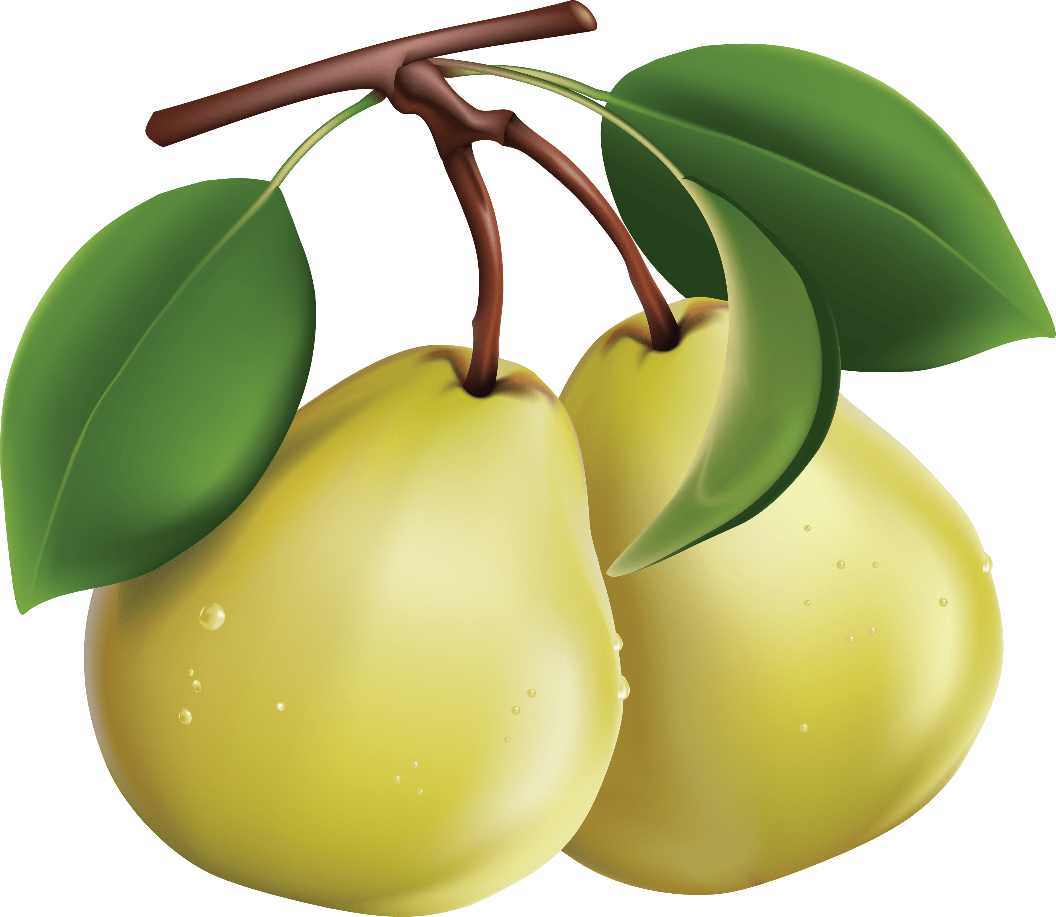 Pear Png Image Transparent PNG Image