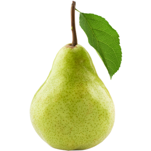 Pear Transparent Transparent PNG Image