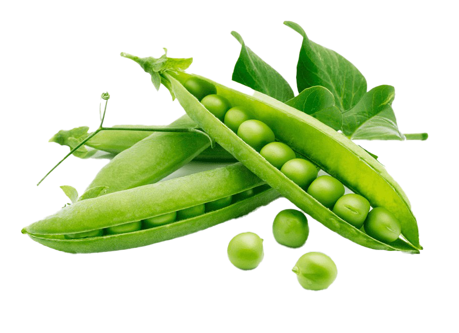 Beans Green Peas Download Free Image Transparent PNG Image